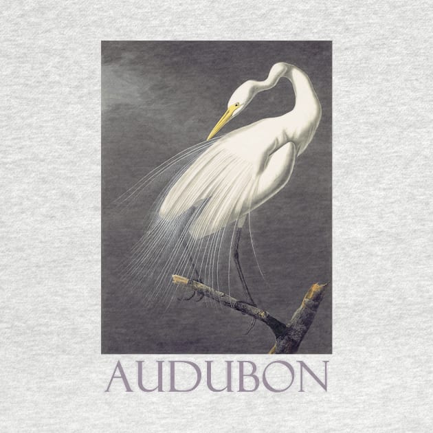 Great Egret by John James Audubon by Naves